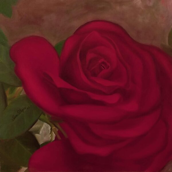 Quadro de Florais - Rosa Vermelha