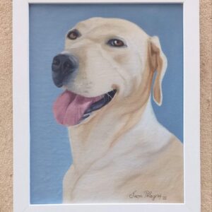 Quadro de Animais - Labrador com moldura