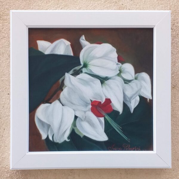 Quadro de Florais - Lágrima de Cristo com moldura