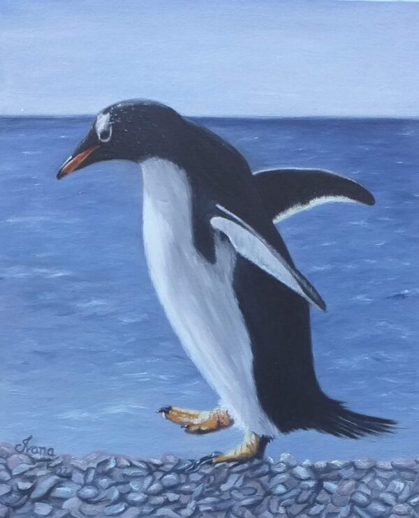 Quadro de Animais - Pinguim