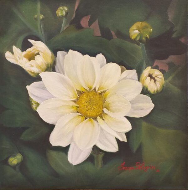 Quadro de Florais - Mini Margarida