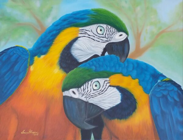 Quadro de Animais - Araras Canindé