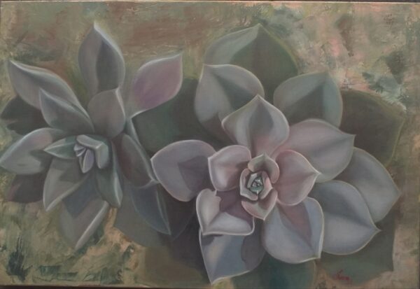 Quadro de Florais - Suculentas