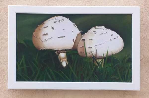 Quadro de Florais - Cogumelos com moldura